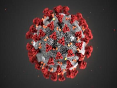 Une illustration numrique du coronavirus qui montre l'aspect en forme de couronne du virus/Photo OMS