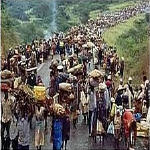 Des rfugis Hutu Rwandais se rfugient dans l'Est du Congo aprs le gnocide au Rwanda