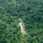 Le ministre de  l'Environnement de la République démocratique du Congo (RDC),  Didace Pembe, a demandé mardi que 3 milliards de dollars  américains soient accordés à son pays, qui contribue par ses  forêts à l'équilibre de l'écosystème dans le monde.