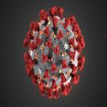 Une illustration numérique du coronavirus qui montre l'aspect en forme de couronne du virus/Photo OMS