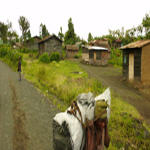 Réfugies au Nord Kivu - Congo