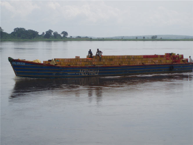 Congo River 2008