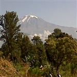 Kilimanjaro big mount in Africa